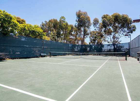 A tennis court surrounded by a fence and trees.
