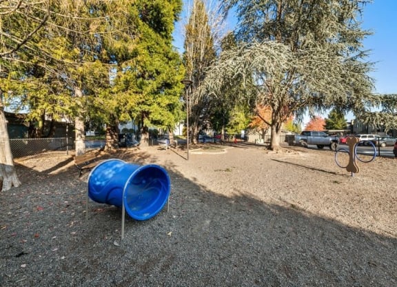 Dog park with agility equipment
