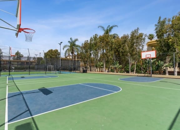 Basketball court
