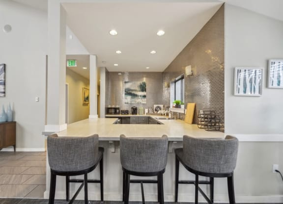 Community kitchen and bar area