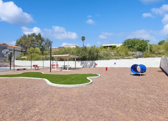 Community Dog Park with Agility Equipment at Hilands Apartments in Tucson, AZ.