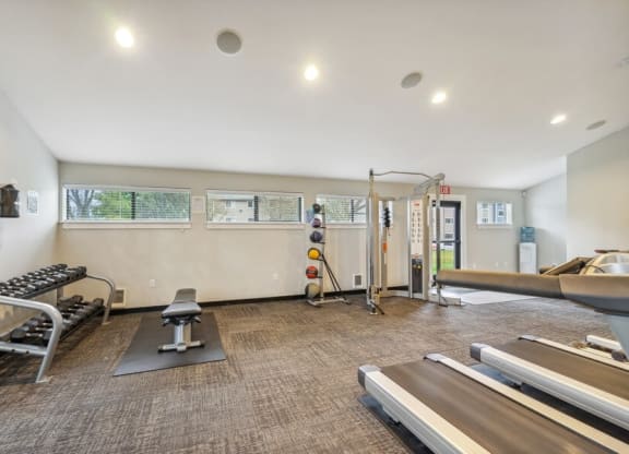 Community gym with weightlifting and cardio equipment