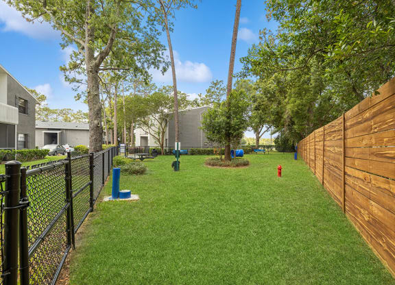Dog park with agility equipment