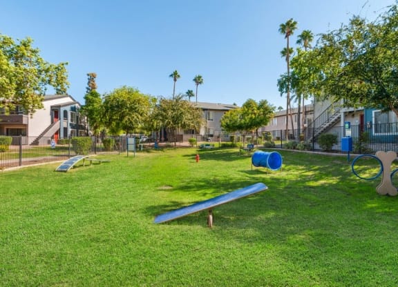 Community dog park