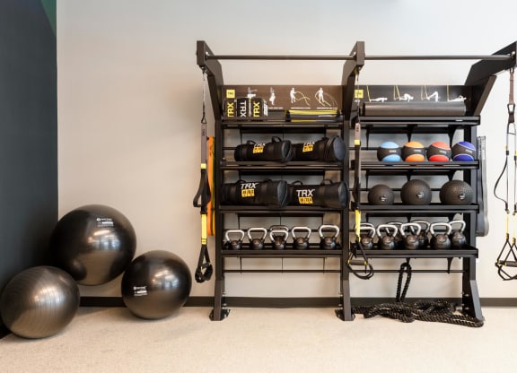 Fitness center with spheres and weights