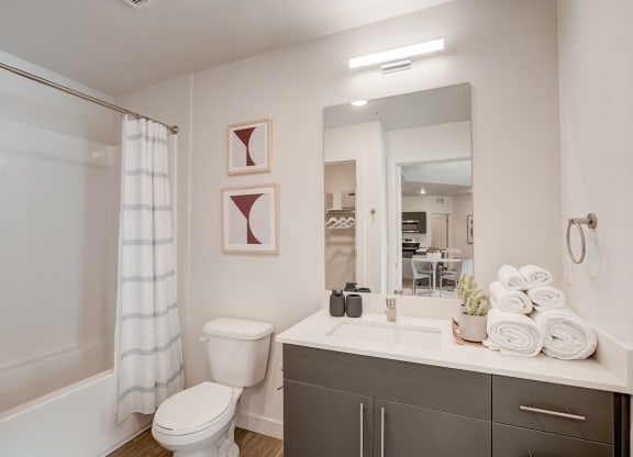 a bathroom with a sink and a toilet and a shower
