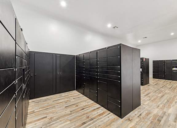Community Parcel Package Room at Chapel Hill Apartments located in Lewisville, TX.