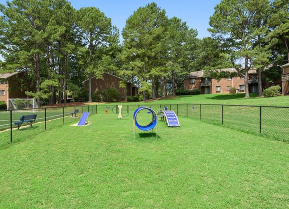 Fenced Dog park with agility equipment