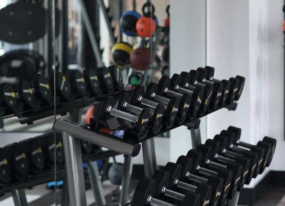 a row of dumbbells hanging from the ceiling in a gym