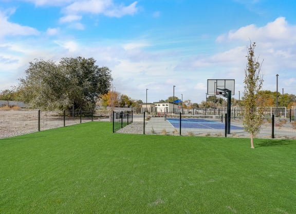 basketball and tennis