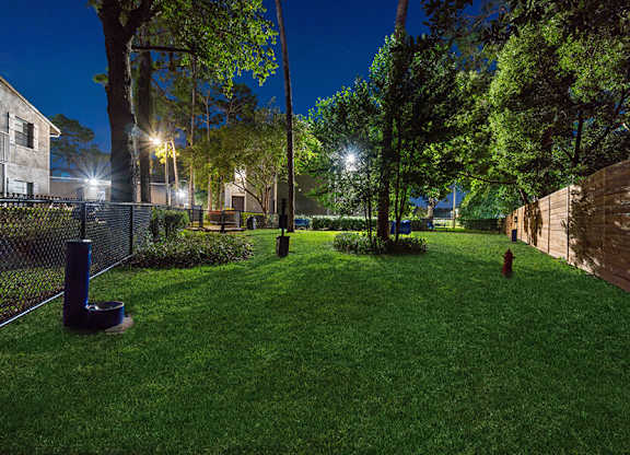 Community Dog Park with Agility Equipment at Arbors at Orange Park Apartments located in Orange Park, FL.
