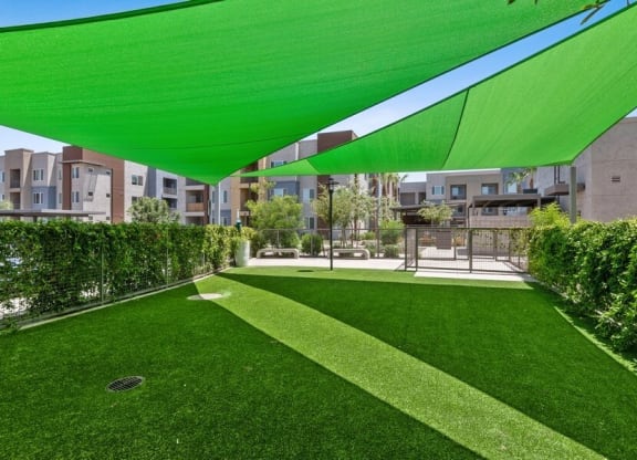 Outdoor covered dog park with grass