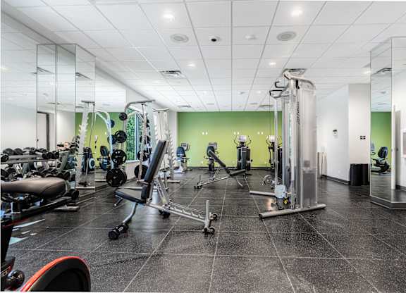 A gym with a variety of equipment including a rowing machine, a bench press, and a squat rack.