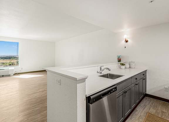 A kitchen with a dishwasher and sink.