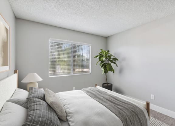 an empty bedroom with a bed and a window