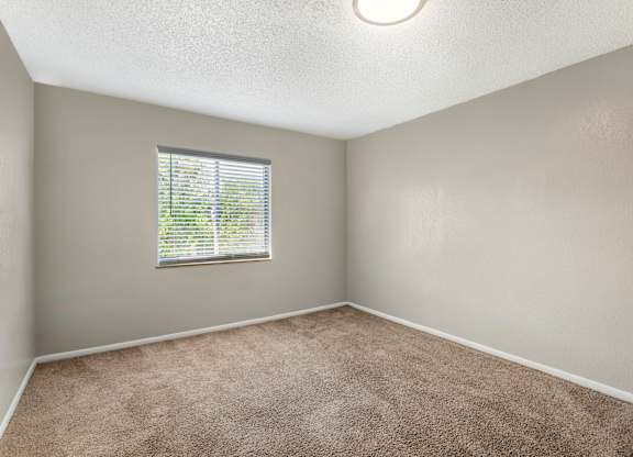 Model that's empty with plush carpet and wide window at Park at 7200 in Jacksonville, Florida.