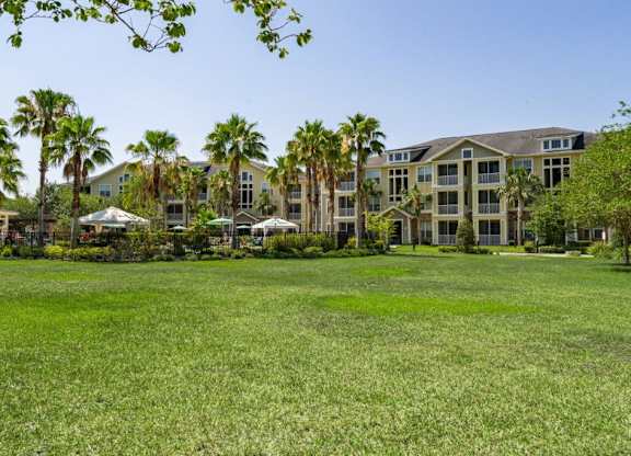 A large grassy area in front of a building with palm trees  at Bridges at Crosstown in Tampa, FL