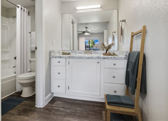 a bathroom with a toilet and a sink