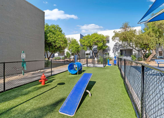 Community dog park