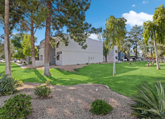 a grassy area with trees and buildings in the background