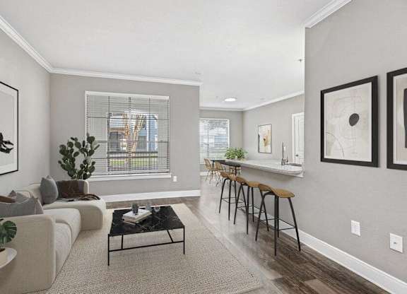 Model living and kitchen