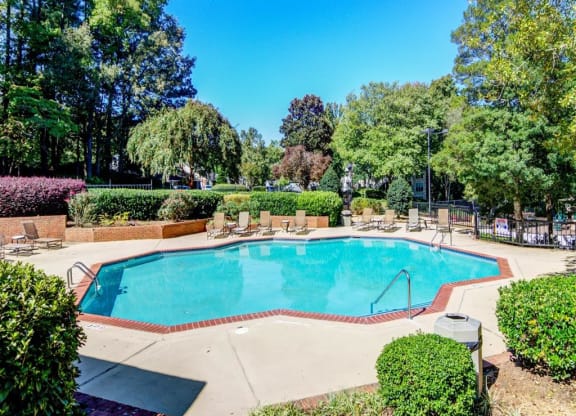Swimming pool with trees surrounding