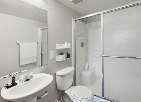 a bathroom with a sink toilet and a shower