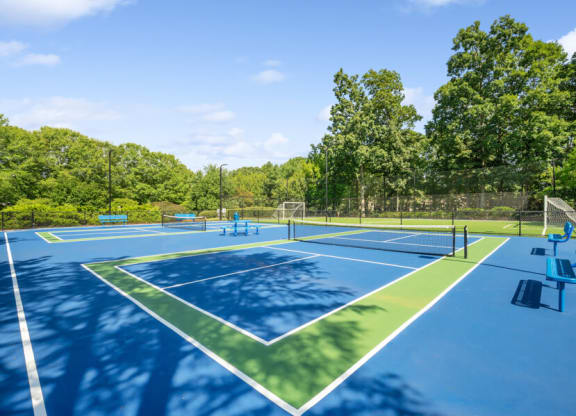 a couple of tennis courts with trees in the background