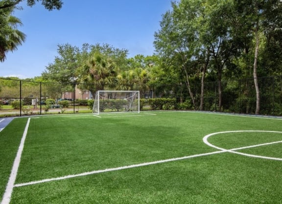 Soccer Field View