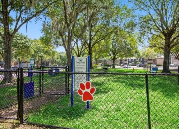 Dog Park