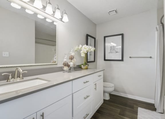 Model bathroom with modern cabinetry