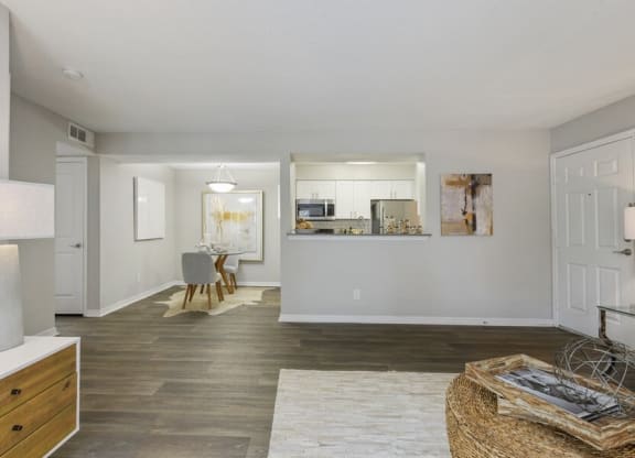 Large model living area