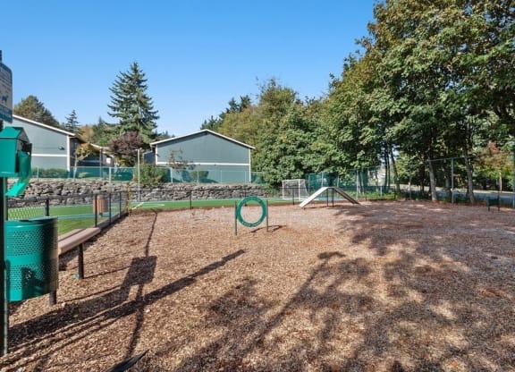Dog park with agility equipment and large fenced area for dogs to run with freedom and joy