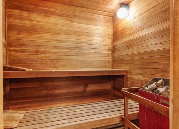 6 Person Dry Sauna with two levels of benches.