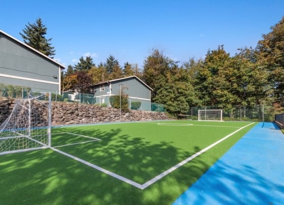 Newly renovated turf soccer field with painted lines and goalposts.