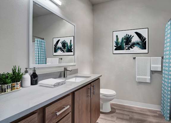 A bathroom with a toilet, sink, and a mirror.