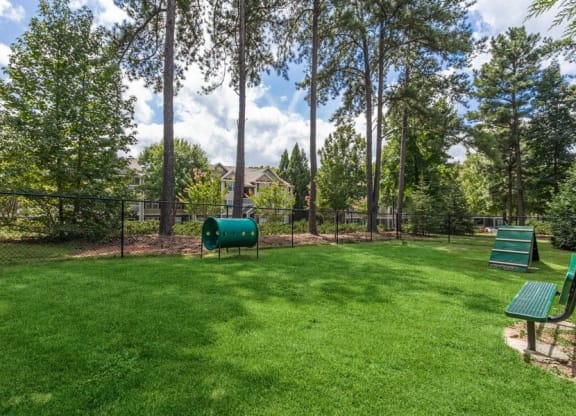 View of fenced-in dog park