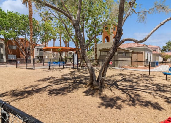 a park with a tree and benches in front of a building