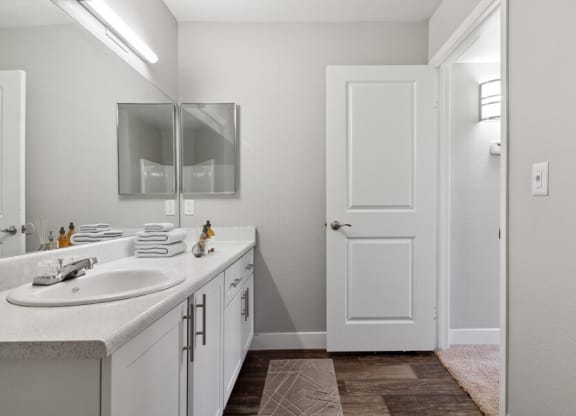 a bathroom with a sink and a mirror