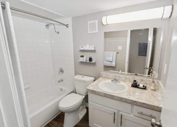 a bathroom with a tub sink and toilet and a mirror