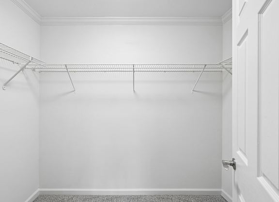 A white closet with a door and a carpet.