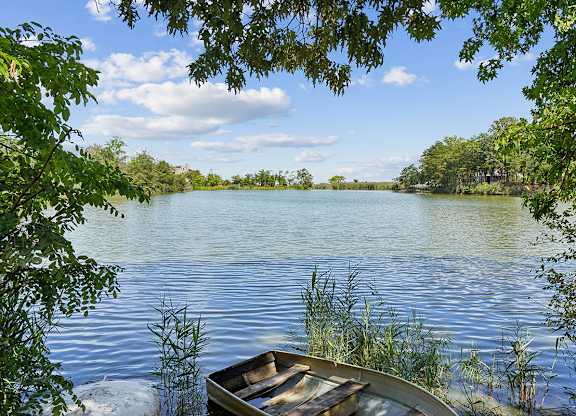 A boat sits on the shore of a lake surrounded by greenery.