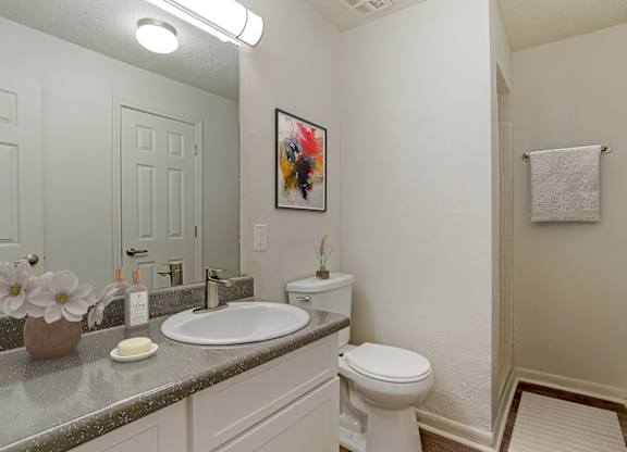 Luxurious Bathrooms at Lakeshore Landing Apartments, Mississippi