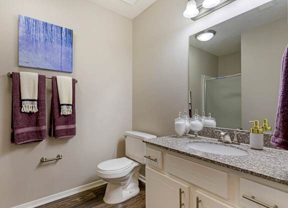 Bathroom at North Creek, Southaven, MS, 38671