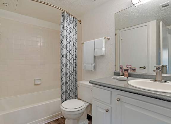 Bathroom With Bathtub at Reflection Pointe, Flowood, MS