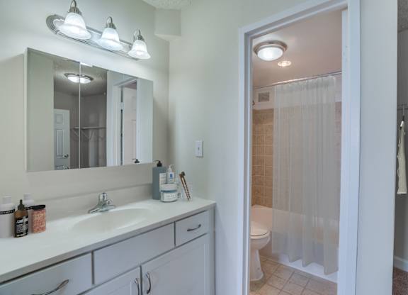 Bathroom at Seminary Towers, Virginia