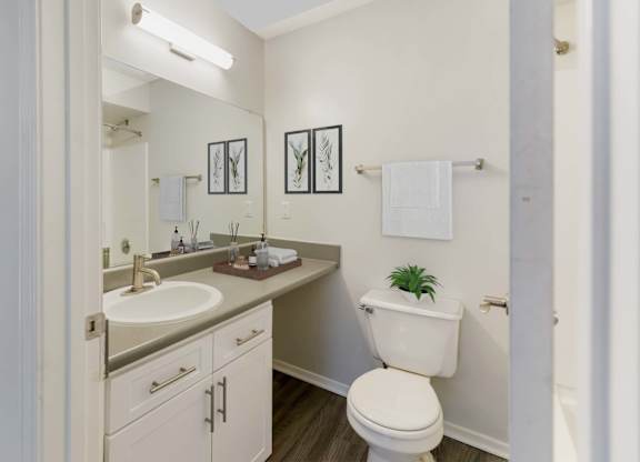 Bathroom at Southaven Pointe Apartments, Mississippi