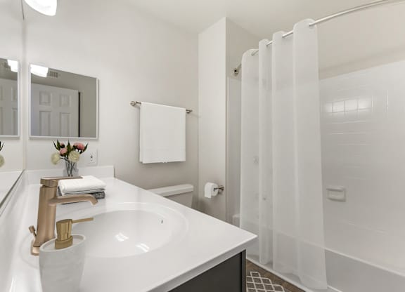 Bathroom With Bathtub at The Apartments at Tamar Meadow, Columbia, 21045