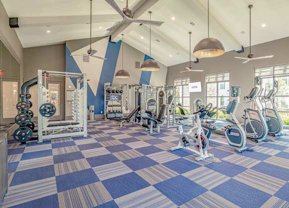Fitness at The Rosemary Apartments, Humble, 77346