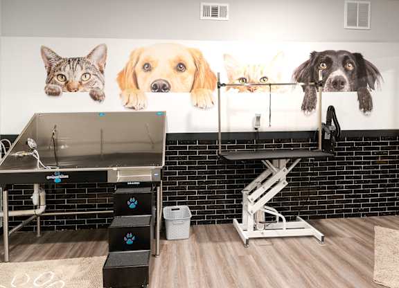 Pet Therapy at The Cosmopolitan, Tulsa, OK, 74119